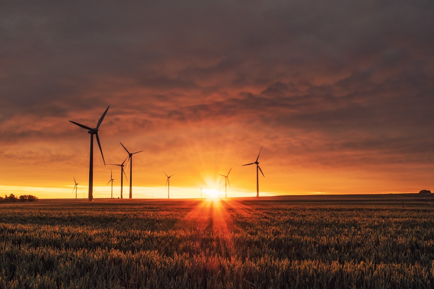 How Our Policies Drive Sustainable Change